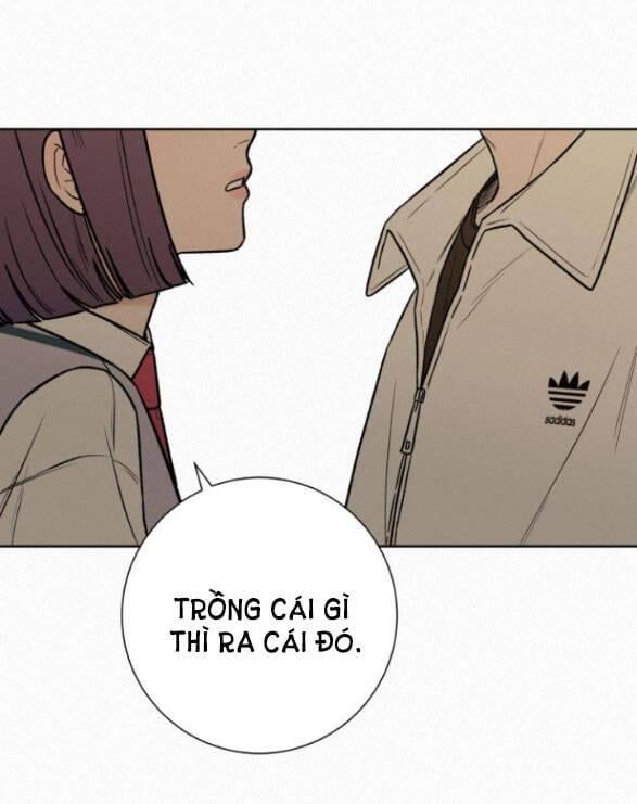 đọc truyện Tình Yêu Trong Sáng Chương 25.2 ảnh 44 tại Thiên Thai Truyện