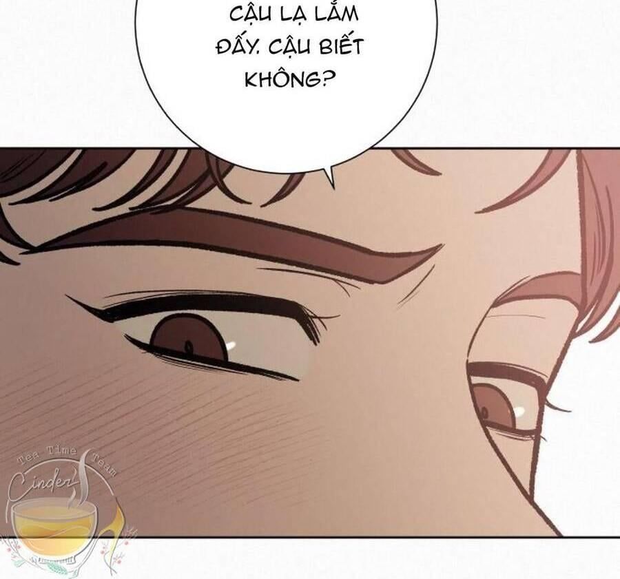 đọc truyện Tình Yêu Trong Sáng Chương 27 ảnh 34 tại Thiên Thai Truyện