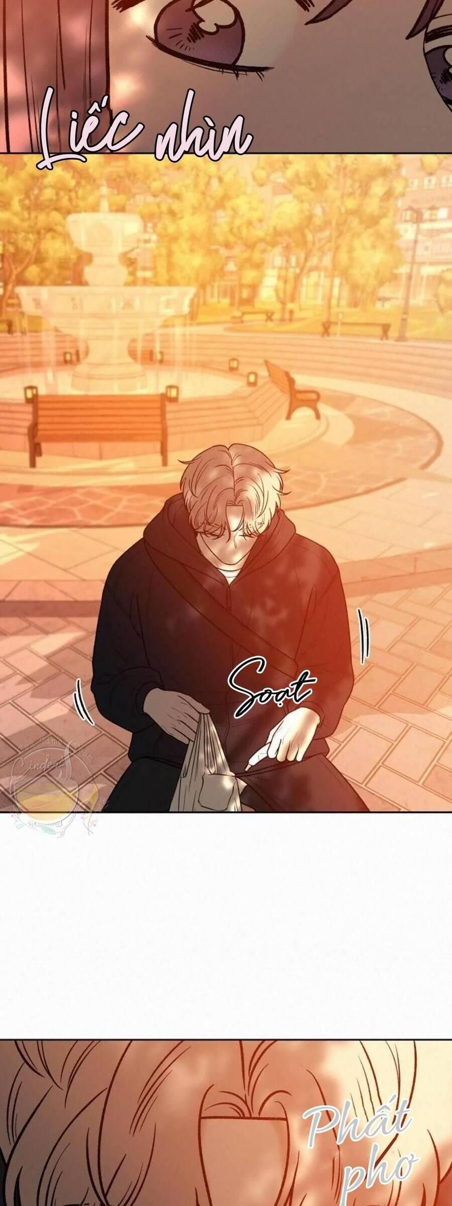 đọc truyện Tình Yêu Trong Sáng Chương 39 ảnh 14 tại Thiên Thai Truyện