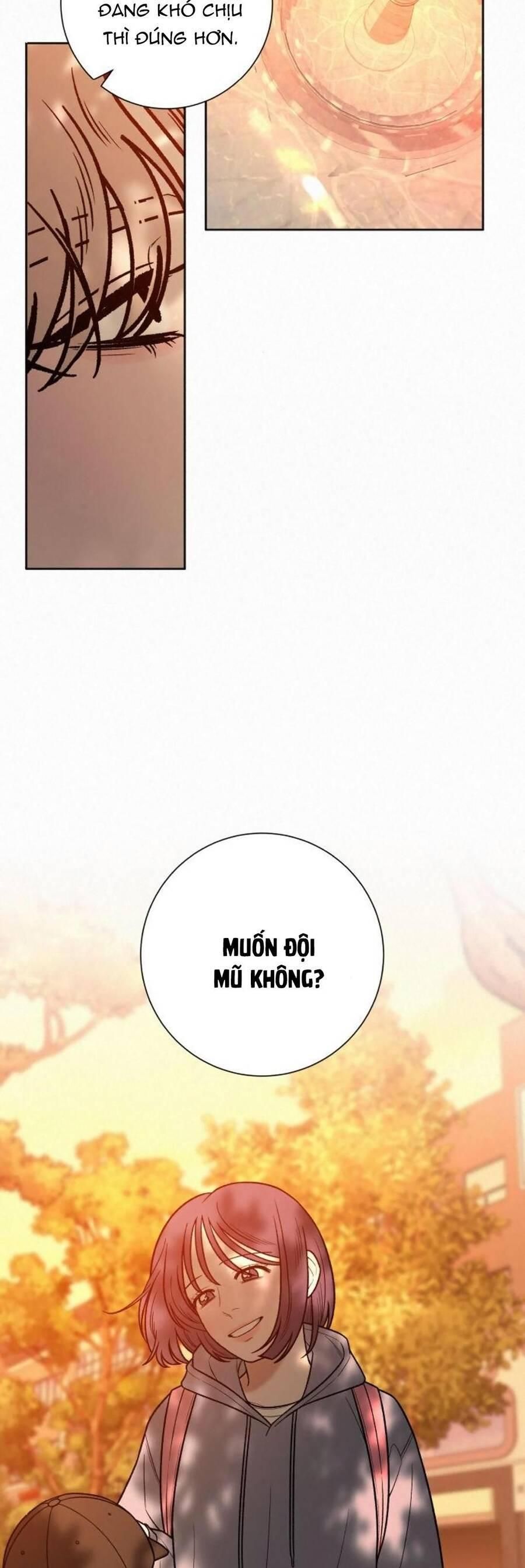 đọc truyện Tình Yêu Trong Sáng Chương 39 ảnh 17 tại Thiên Thai Truyện