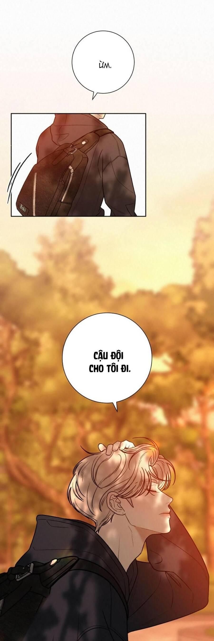 đọc truyện Tình Yêu Trong Sáng Chương 39 ảnh 19 tại Thiên Thai Truyện