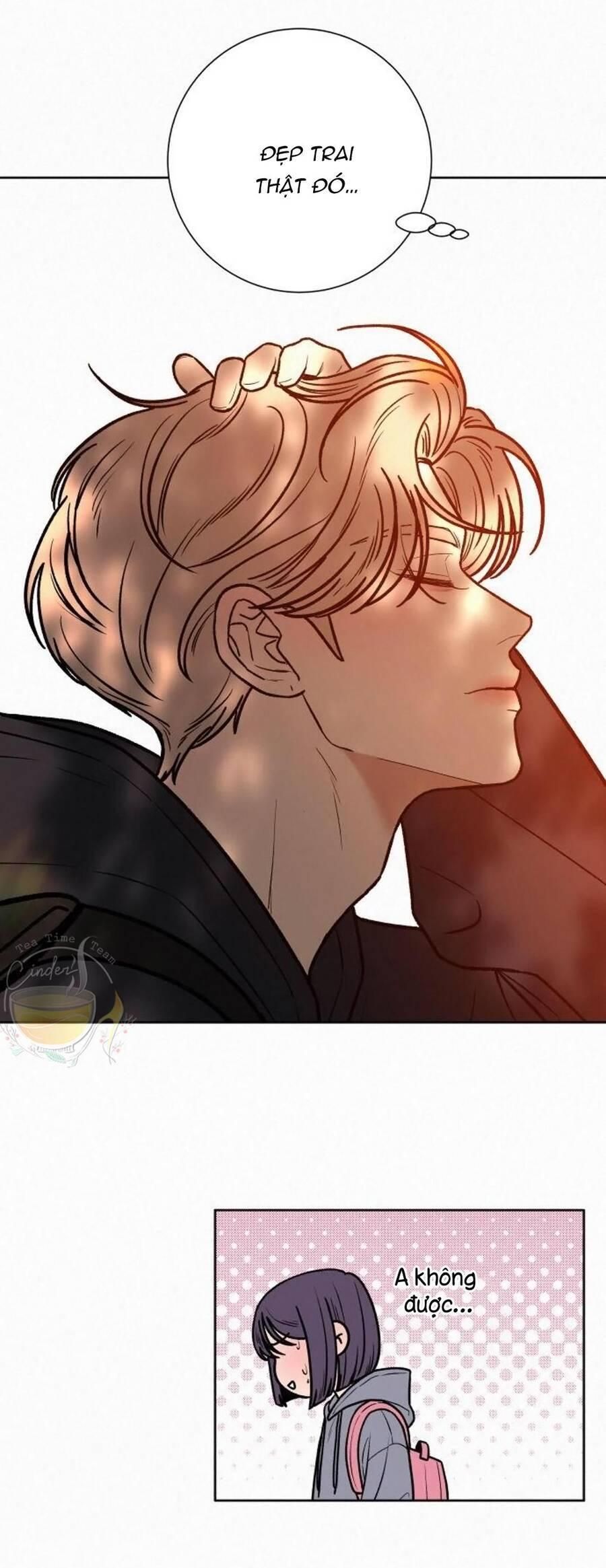 đọc truyện Tình Yêu Trong Sáng Chương 39 ảnh 21 tại Thiên Thai Truyện