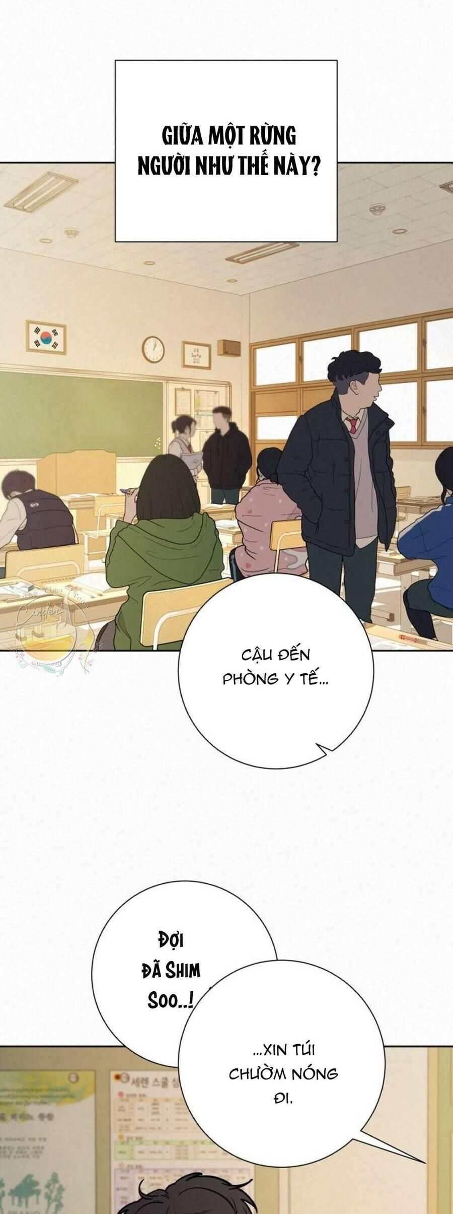 đọc truyện Tình Yêu Trong Sáng Chương 40 ảnh 21 tại Thiên Thai Truyện