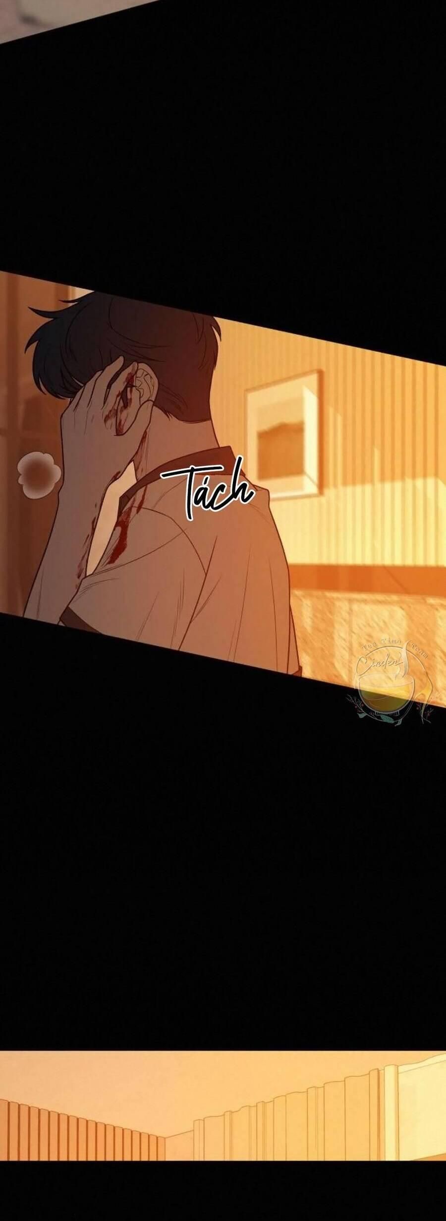 đọc truyện Tình Yêu Trong Sáng Chương 40 ảnh 9 tại Thiên Thai Truyện