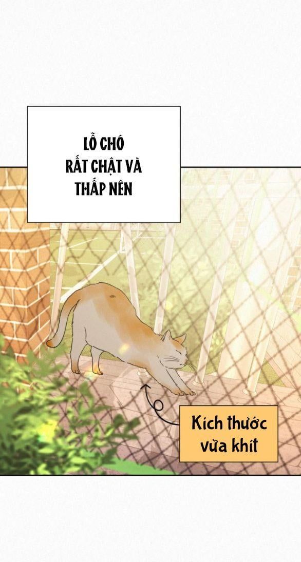 đọc truyện Tình Yêu Trong Sáng Chương 45 ảnh 63 tại Thiên Thai Truyện