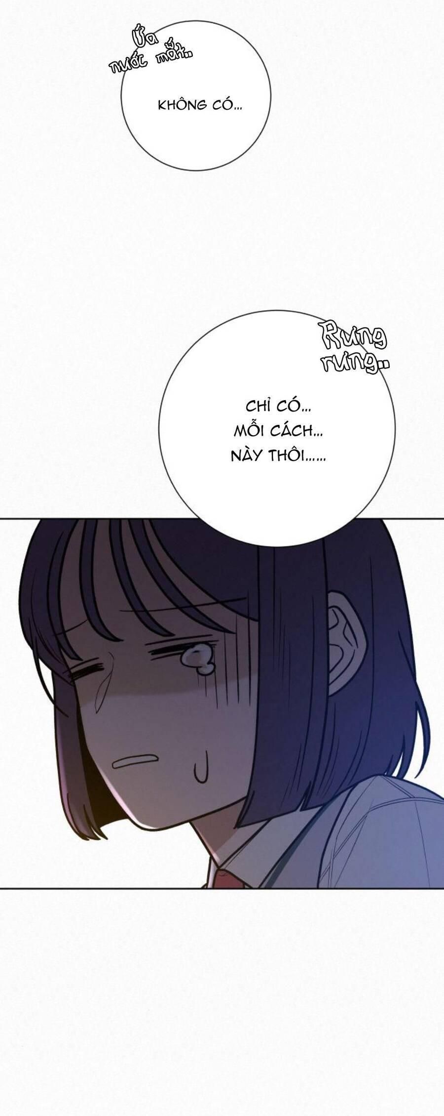 đọc truyện Tình Yêu Trong Sáng Chương 48 ảnh 13 tại Thiên Thai Truyện