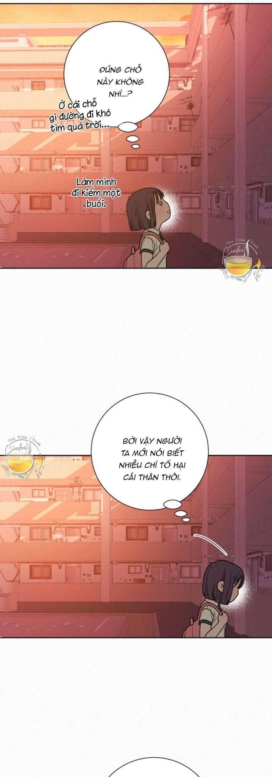 đọc truyện Tình Yêu Trong Sáng Chương 53 ảnh 66 tại Thiên Thai Truyện