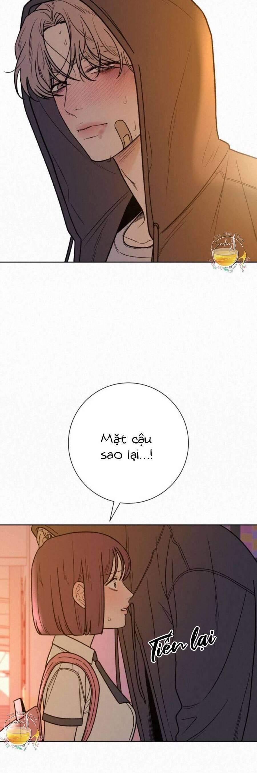 đọc truyện Tình Yêu Trong Sáng Chương 53 ảnh 76 tại Thiên Thai Truyện