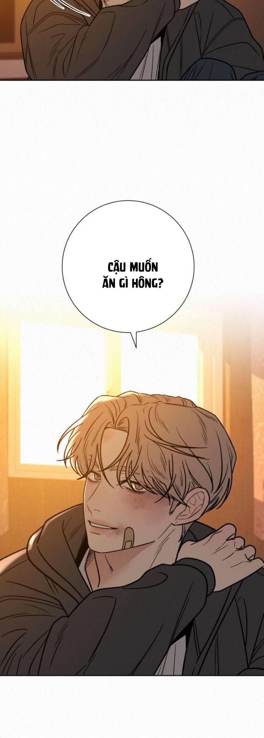 đọc truyện Tình Yêu Trong Sáng Chương 54 ảnh 14 tại Thiên Thai Truyện