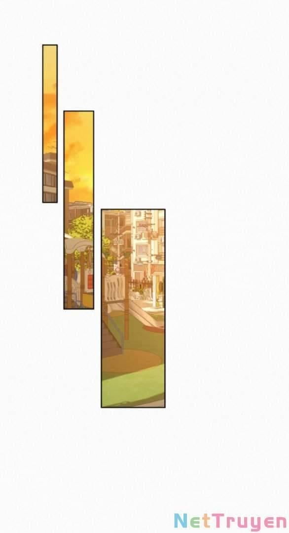 đọc truyện Tình Yêu Trong Sáng Chương 62 ảnh 69 tại Thiên Thai Truyện