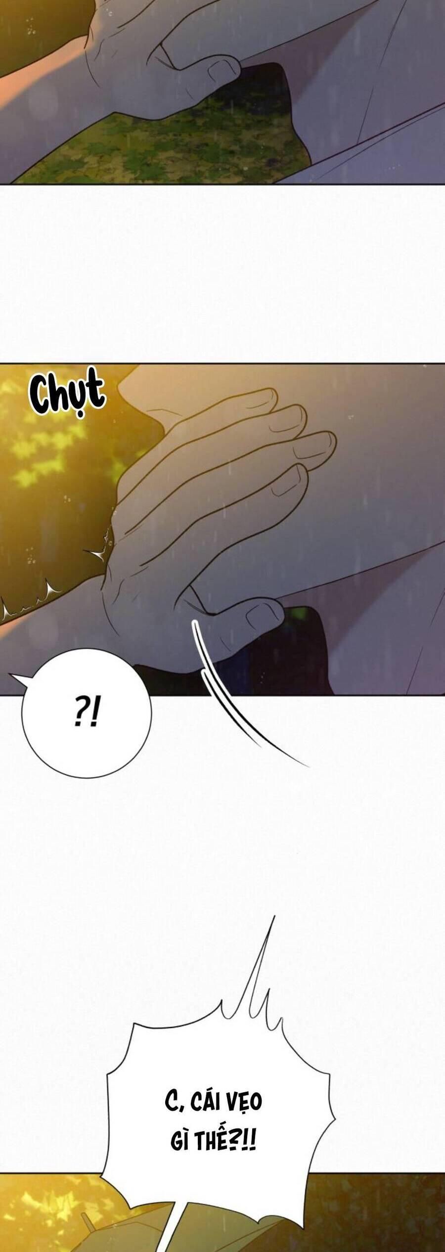 đọc truyện Tình Yêu Trong Sáng Chương 76 ảnh 16 tại Thiên Thai Truyện