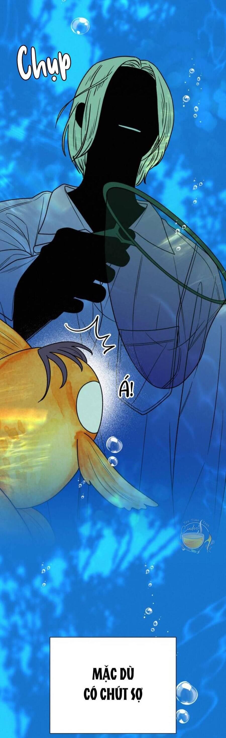 đọc truyện Tình Yêu Trong Sáng Chương 78 ảnh 27 tại Thiên Thai Truyện