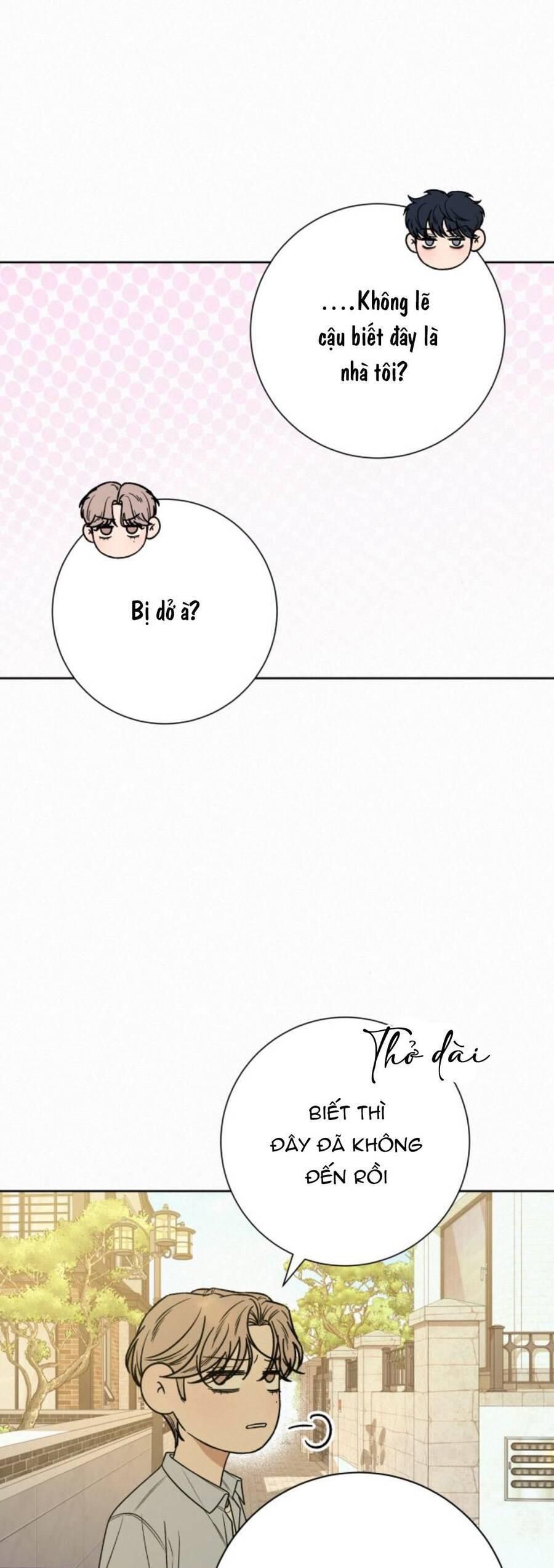 đọc truyện Tình Yêu Trong Sáng Chương 79 ảnh 38 tại Thiên Thai Truyện