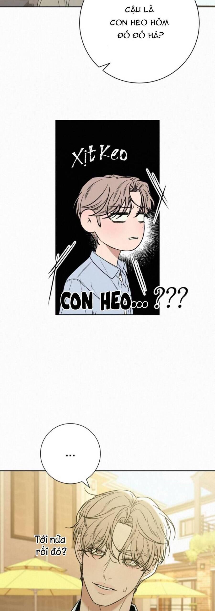 đọc truyện Tình Yêu Trong Sáng Chương 79 ảnh 39 tại Thiên Thai Truyện