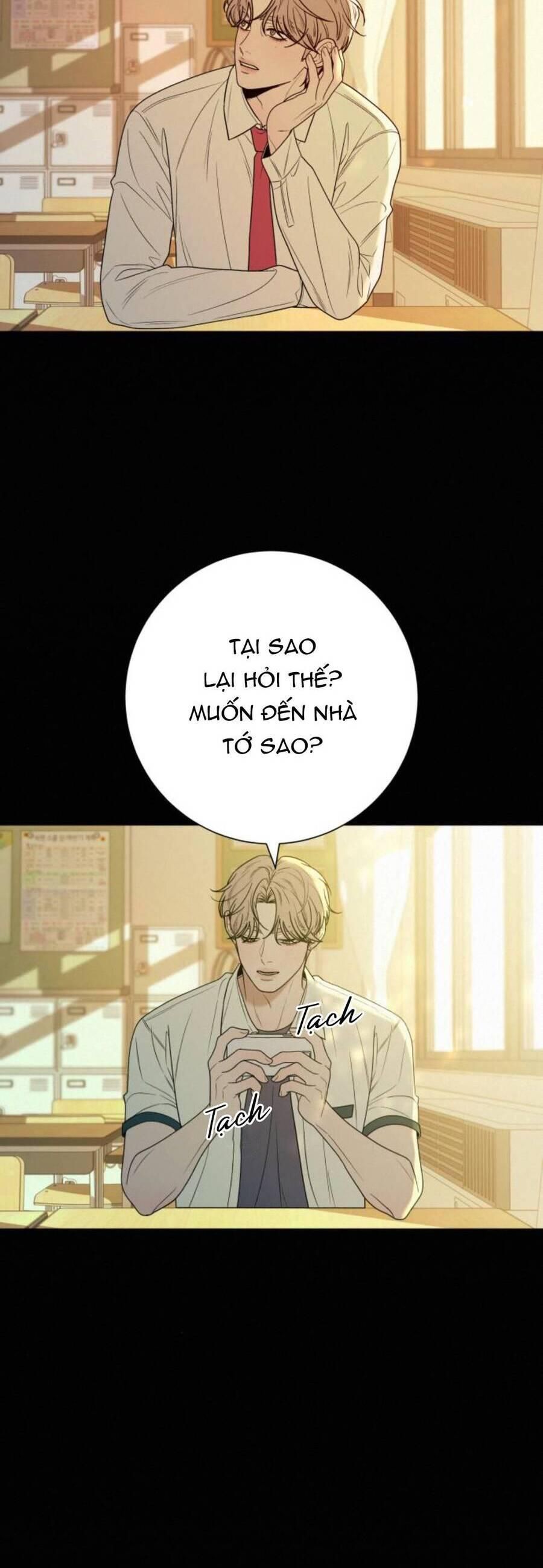 đọc truyện Tình Yêu Trong Sáng Chương 80 ảnh 36 tại Thiên Thai Truyện