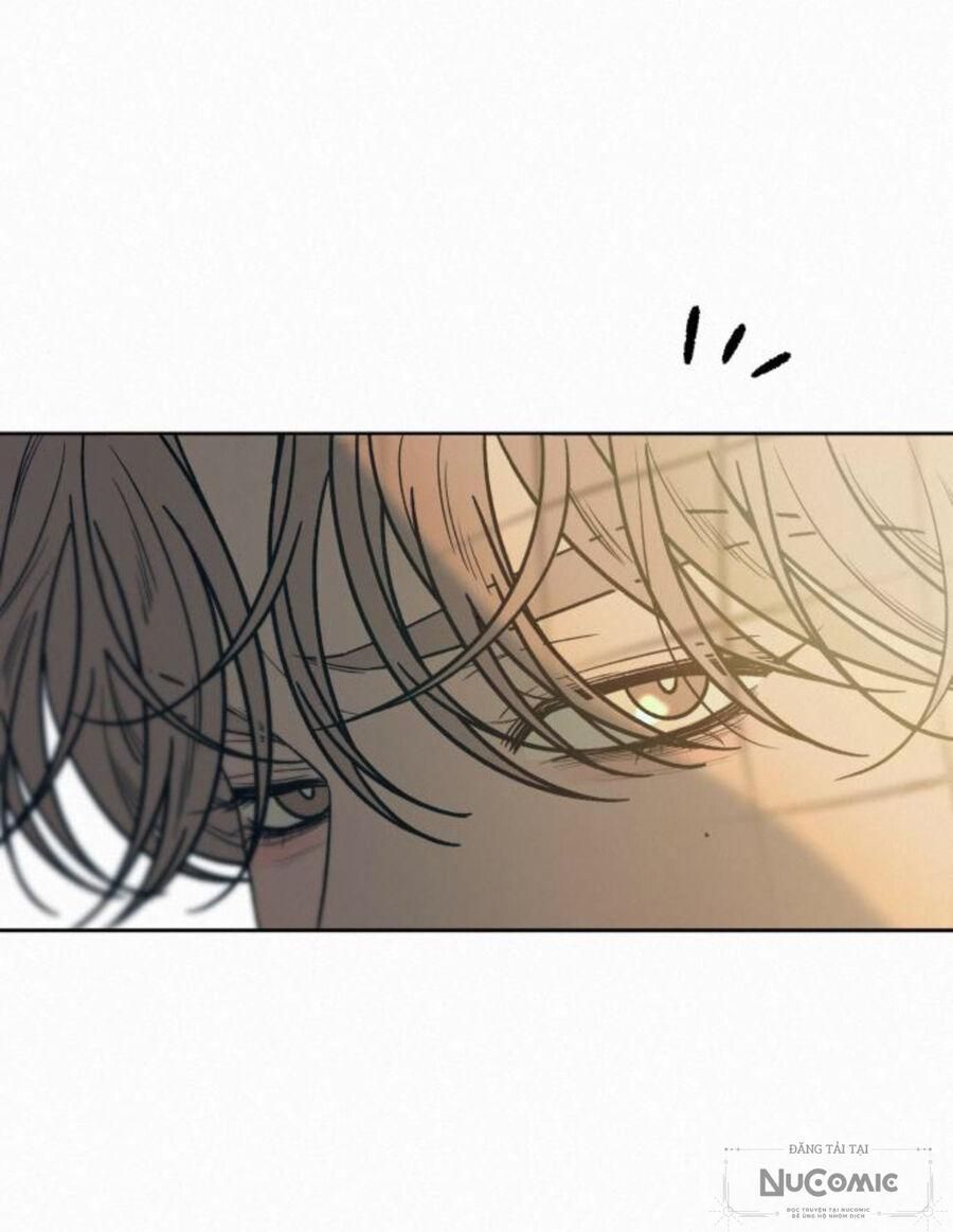 đọc truyện Tình Yêu Trong Sáng Chương 87 ảnh 11 tại Thiên Thai Truyện