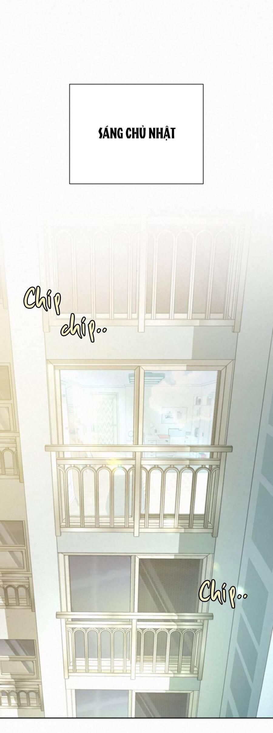 đọc truyện Tình Yêu Trong Sáng Chương 92 ảnh 5 tại Thiên Thai Truyện