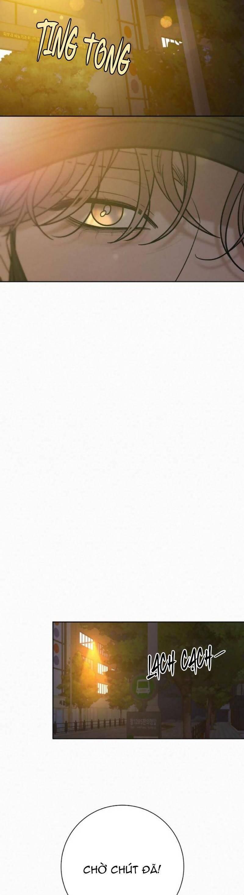 đọc truyện Tình Yêu Trong Sáng Chương 93 ảnh 60 tại Thiên Thai Truyện