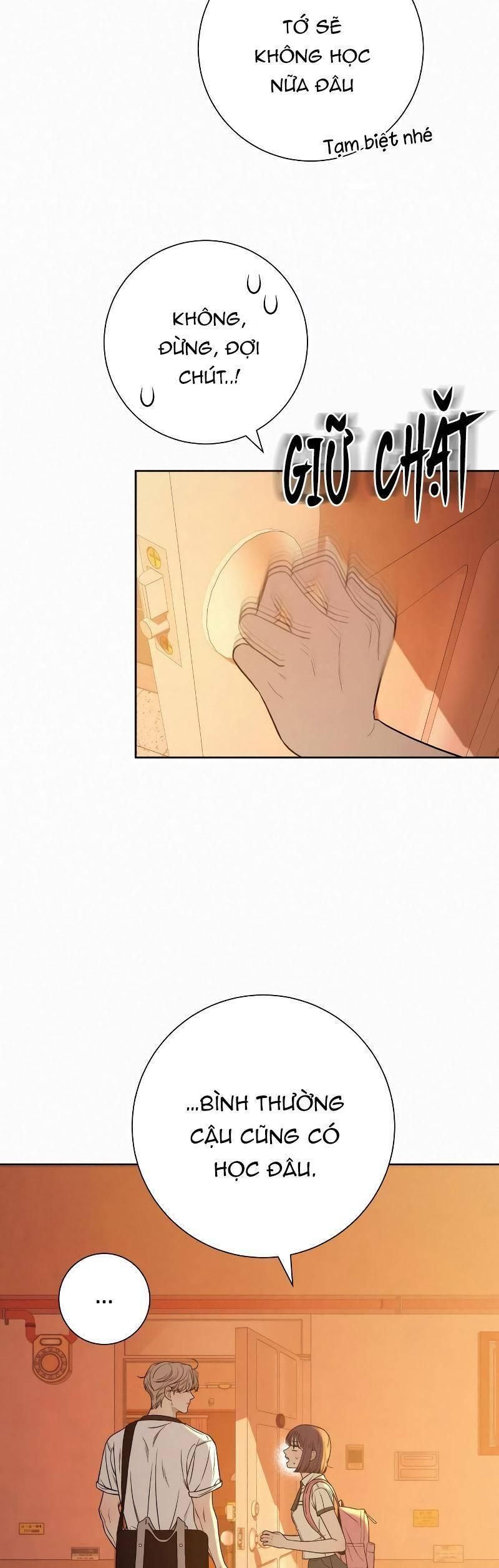 đọc truyện Tình Yêu Trong Sáng Chương 96 ảnh 25 tại Thiên Thai Truyện