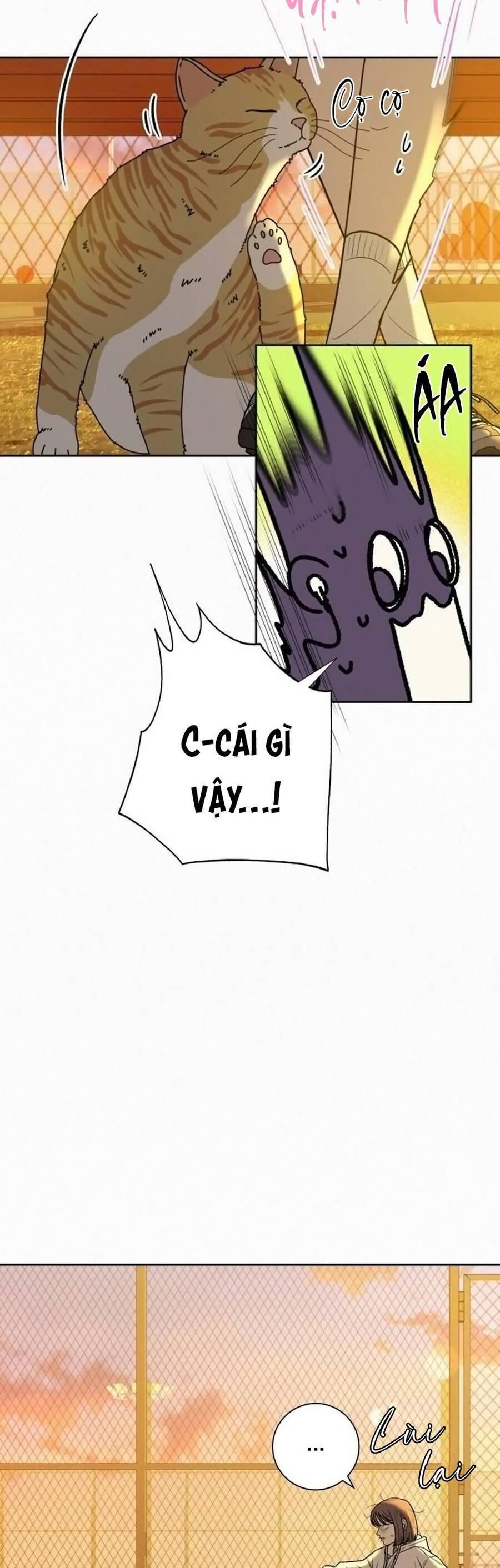 đọc truyện Tình Yêu Trong Sáng Chương 99 ảnh 19 tại Thiên Thai Truyện