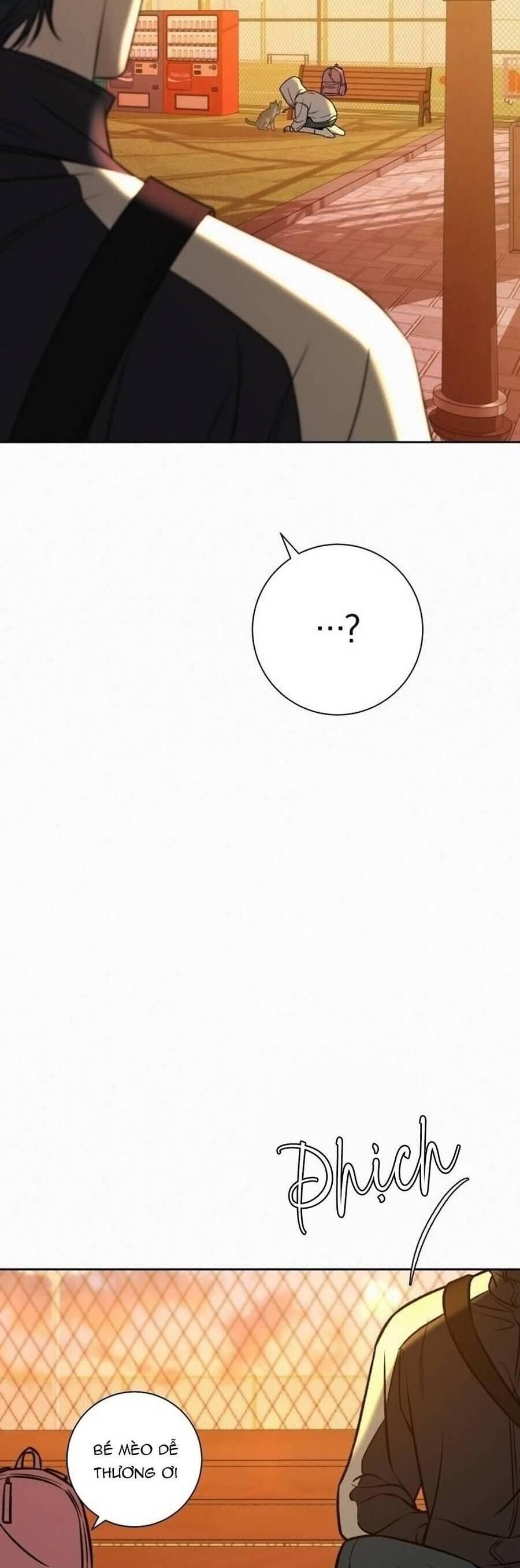 đọc truyện Tình Yêu Trong Sáng Chương 99 ảnh 22 tại Thiên Thai Truyện