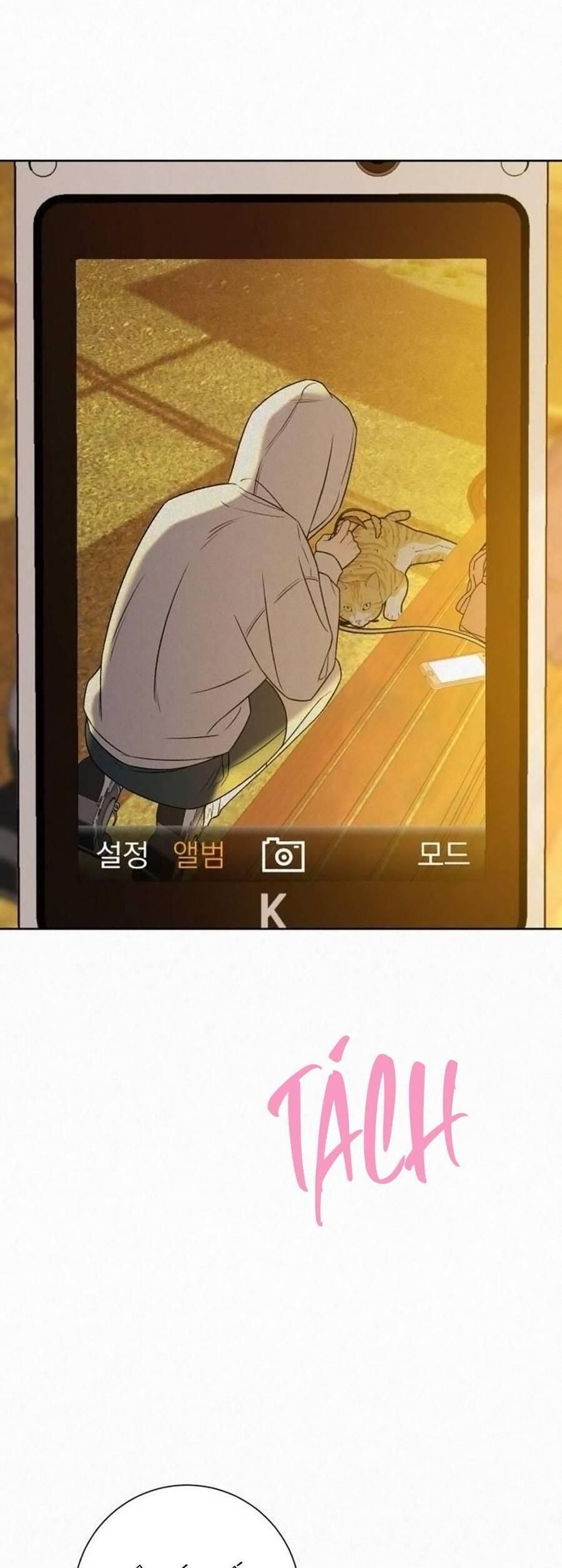 đọc truyện Tình Yêu Trong Sáng Chương 99 ảnh 25 tại Thiên Thai Truyện