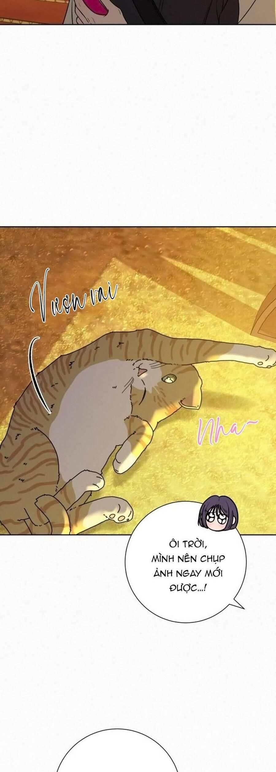 đọc truyện Tình Yêu Trong Sáng Chương 99 ảnh 27 tại Thiên Thai Truyện