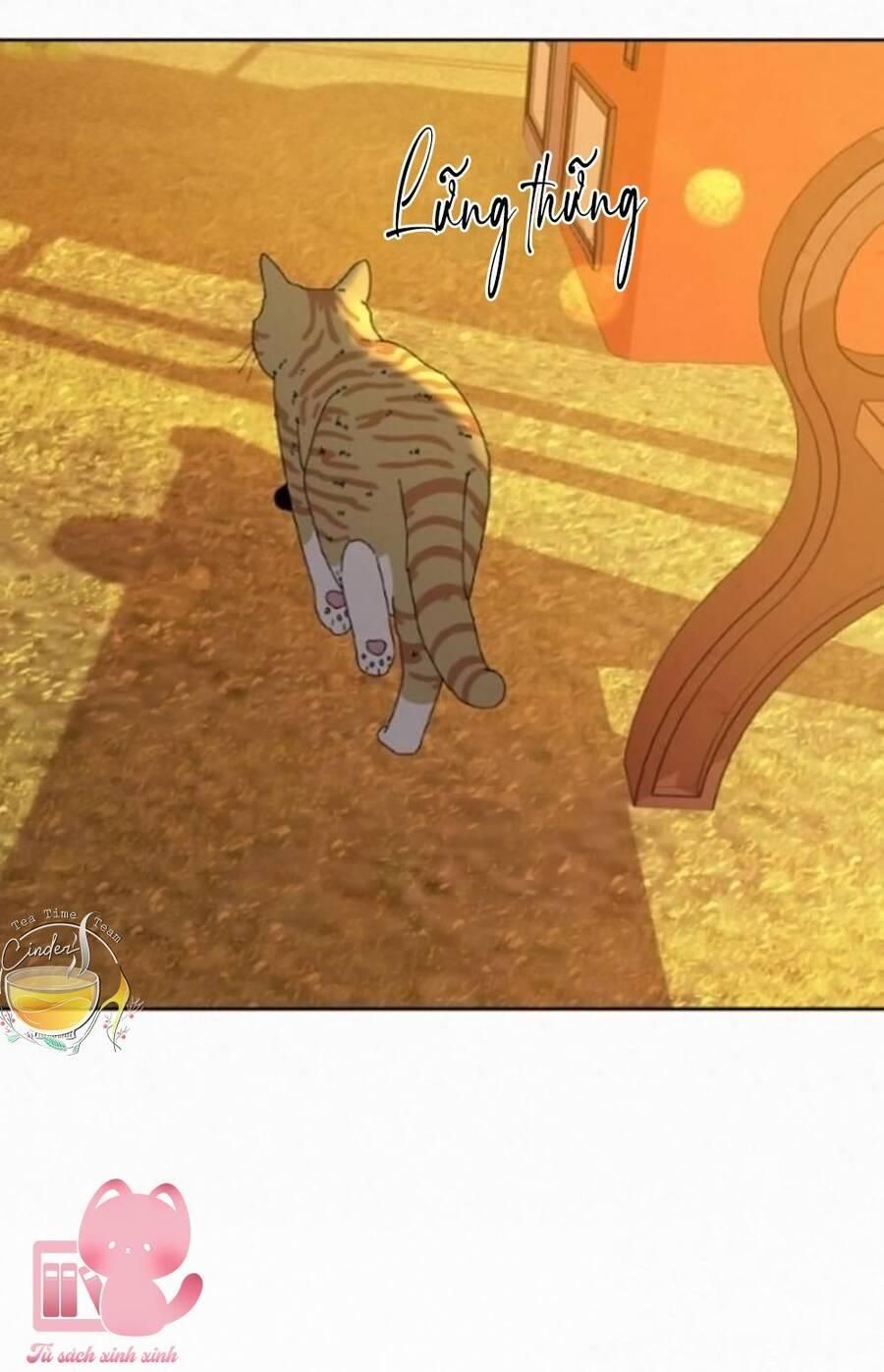 đọc truyện Tình Yêu Trong Sáng Chương 99 ảnh 37 tại Thiên Thai Truyện