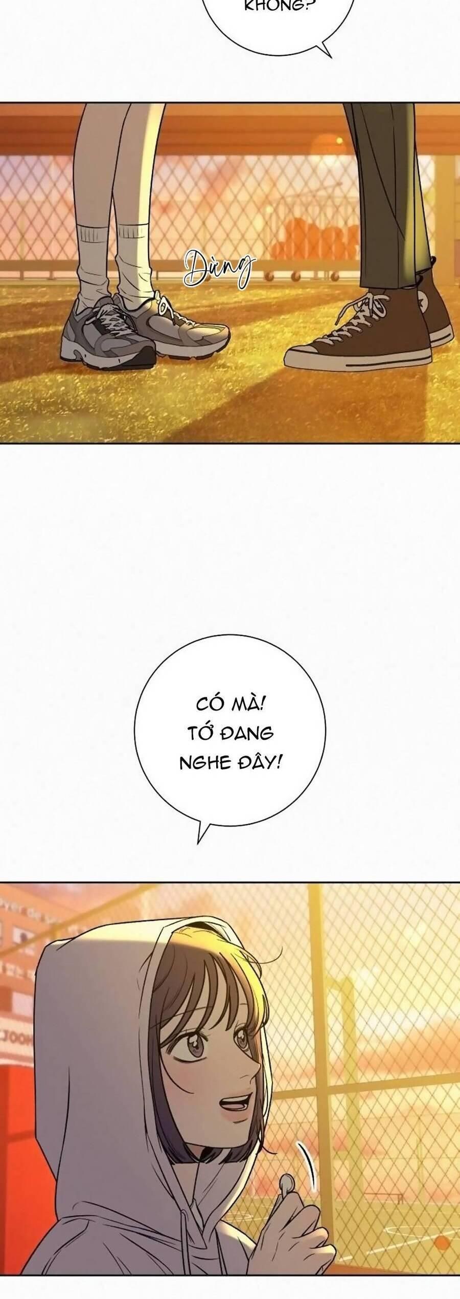 đọc truyện Tình Yêu Trong Sáng Chương 99 ảnh 40 tại Thiên Thai Truyện