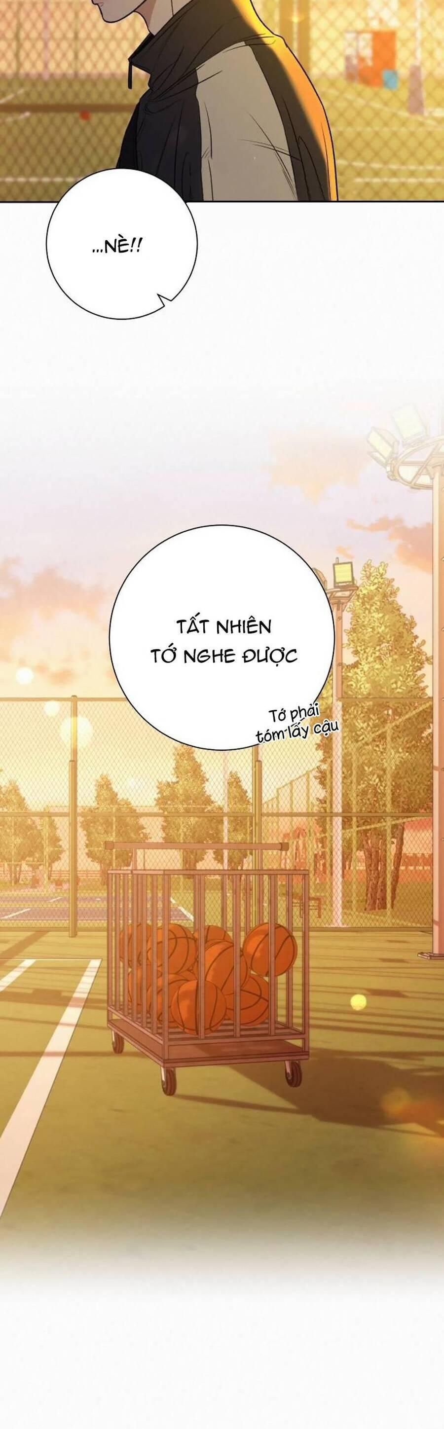 đọc truyện Tình Yêu Trong Sáng Chương 99 ảnh 44 tại Thiên Thai Truyện