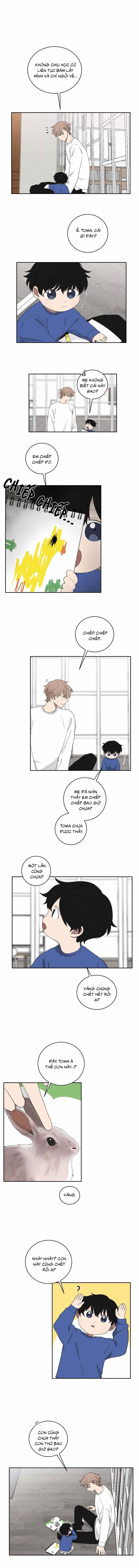 đọc truyện Tình Yêu Yakuza Chương 20 ảnh 5 tại Thiên Thai Truyện