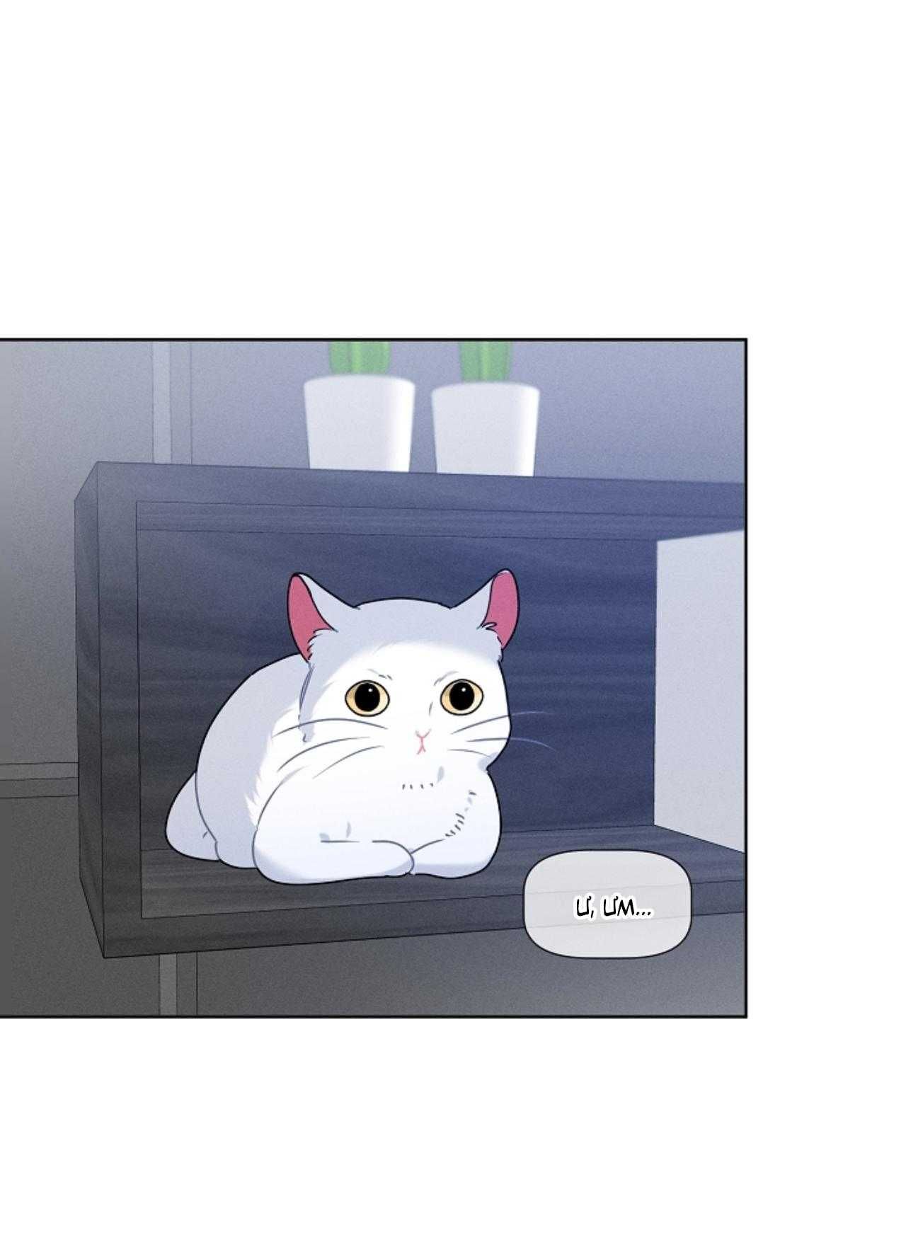 đọc truyện Tố Cáo Sếp Tôi Chương 34 ảnh 18 tại Thiên Thai Truyện