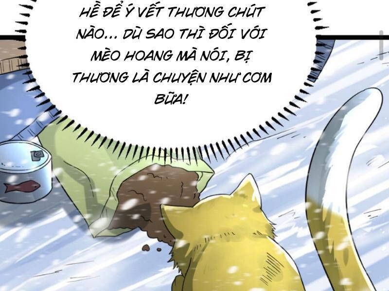 đọc truyện Toàn Cầu Băng Phong: Ta Chế Tạo Phòng An Toàn Tại Tận Thế Chương 168 ảnh 14 tại Thiên Thai Truyện