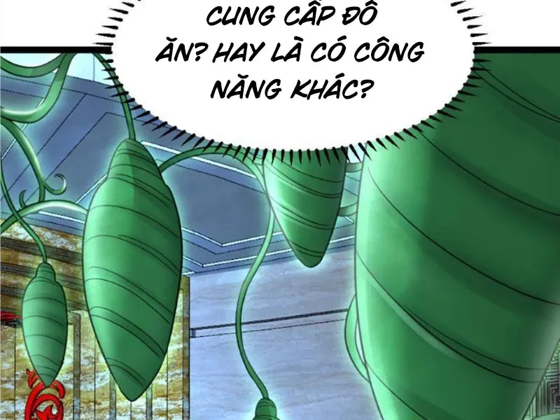 đọc truyện Toàn Cầu Băng Phong: Ta Chế Tạo Phòng An Toàn Tại Tận Thế Chương 403 ảnh 9 tại Thiên Thai Truyện