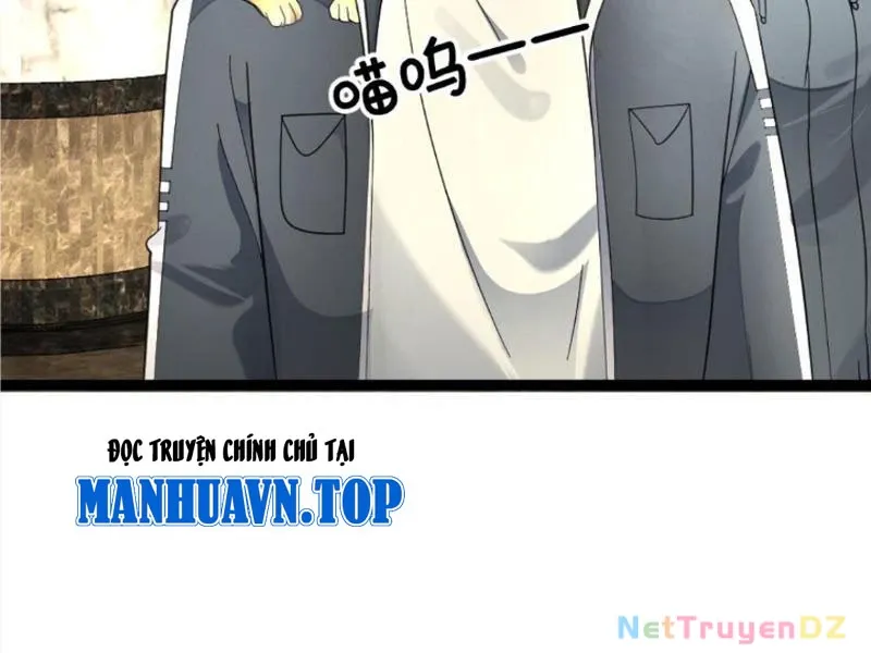 đọc truyện Toàn Cầu Băng Phong: Ta Chế Tạo Phòng An Toàn Tại Tận Thế Chương 543 ảnh 57 tại Thiên Thai Truyện