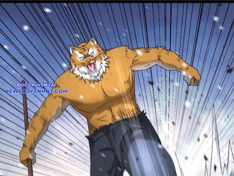 đọc truyện Toàn Cầu Băng Phong: Ta Chế Tạo Phòng An Toàn Tại Tận Thế Chương 559 ảnh 4 tại Thiên Thai Truyện