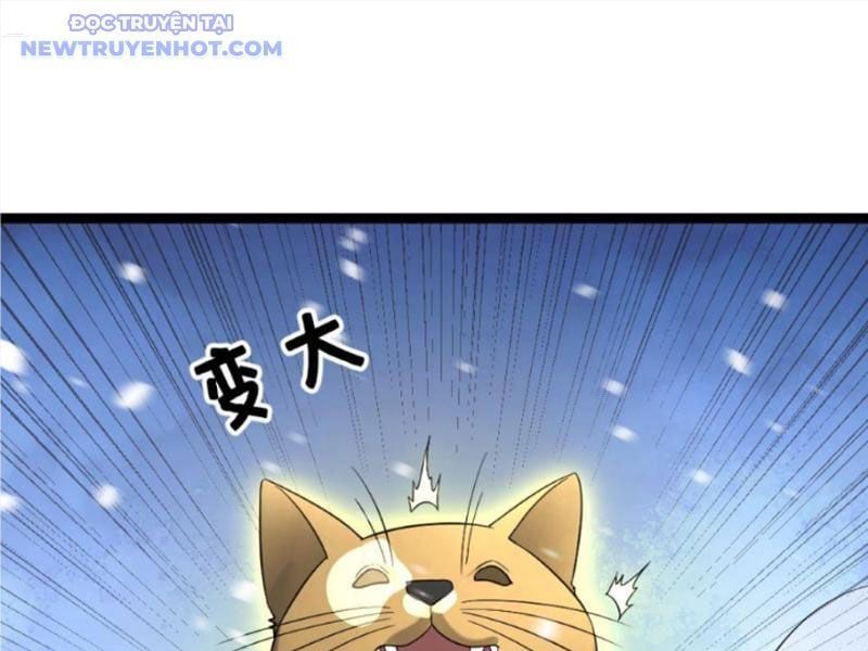 đọc truyện Toàn Cầu Băng Phong: Ta Chế Tạo Phòng An Toàn Tại Tận Thế Chương 565 ảnh 36 tại Thiên Thai Truyện