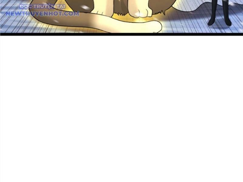 đọc truyện Toàn Cầu Băng Phong: Ta Chế Tạo Phòng An Toàn Tại Tận Thế Chương 565 ảnh 38 tại Thiên Thai Truyện