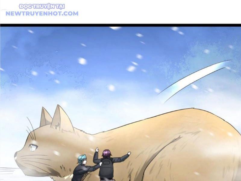 đọc truyện Toàn Cầu Băng Phong: Ta Chế Tạo Phòng An Toàn Tại Tận Thế Chương 565 ảnh 39 tại Thiên Thai Truyện