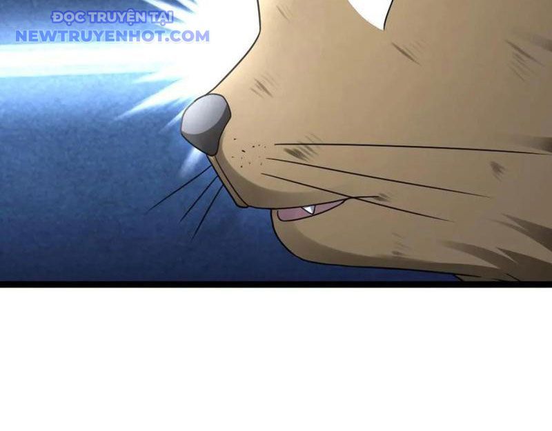 đọc truyện Toàn Cầu Băng Phong: Ta Chế Tạo Phòng An Toàn Tại Tận Thế Chương 566 ảnh 30 tại Thiên Thai Truyện