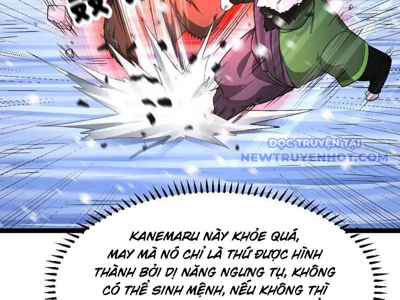 đọc truyện Toàn Cầu Băng Phong: Ta Chế Tạo Phòng An Toàn Tại Tận Thế Chương 571 ảnh 60 tại Thiên Thai Truyện