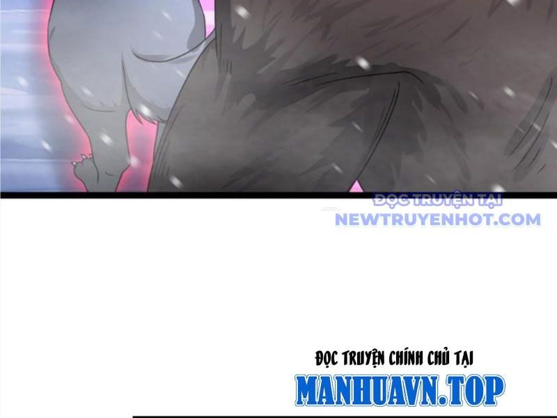 đọc truyện Toàn Cầu Băng Phong: Ta Chế Tạo Phòng An Toàn Tại Tận Thế Chương 572 ảnh 13 tại Thiên Thai Truyện