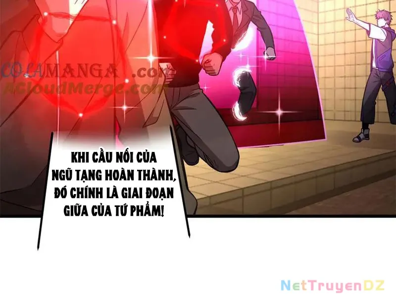 đọc truyện Toàn Cầu Cao Võ Chương 290 ảnh 125 tại Giả Dược