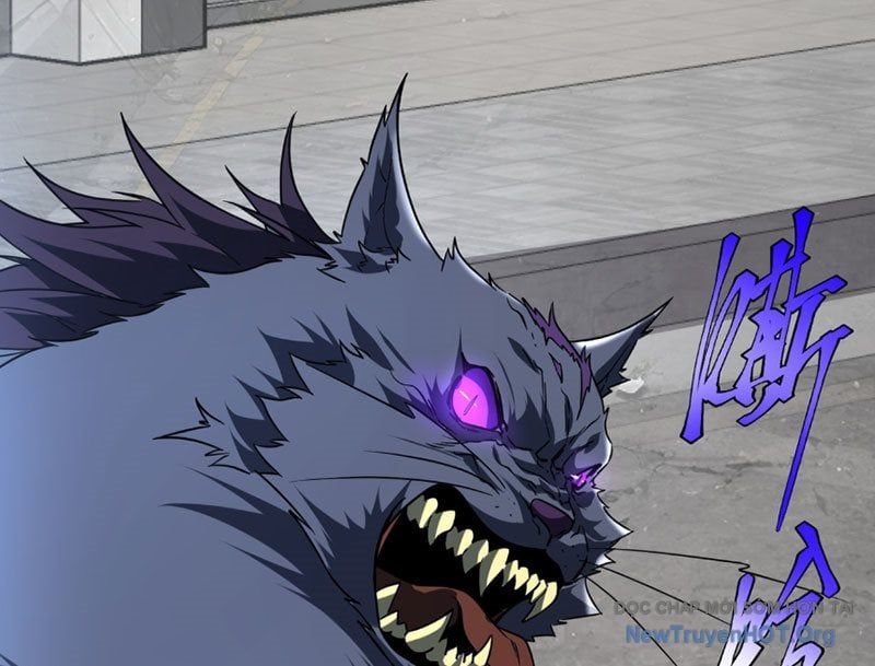 đọc truyện Toàn Cầu Dị Năng: Bắt Đầu Thức Tỉnh Tử Tiêu Thần Lôi Chương 4 ảnh 20 tại Thiên Thai Truyện