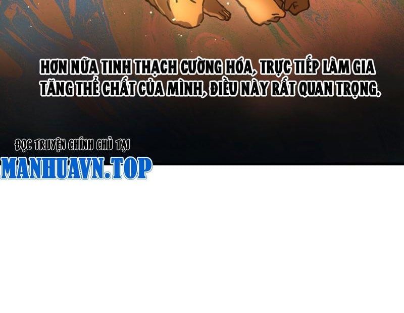 đọc truyện Toàn Cầu Ngự Thú: Ta Có Thể Thấy Lộ Tuyến Tiến Hoá Chương 2 ảnh 27 tại Giả Dược