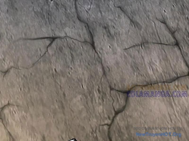 đọc truyện Toàn Cầu Ngự Thú: Ta Có Thể Thấy Lộ Tuyến Tiến Hoá Chương 33 ảnh 123 tại Thiên Thai Truyện