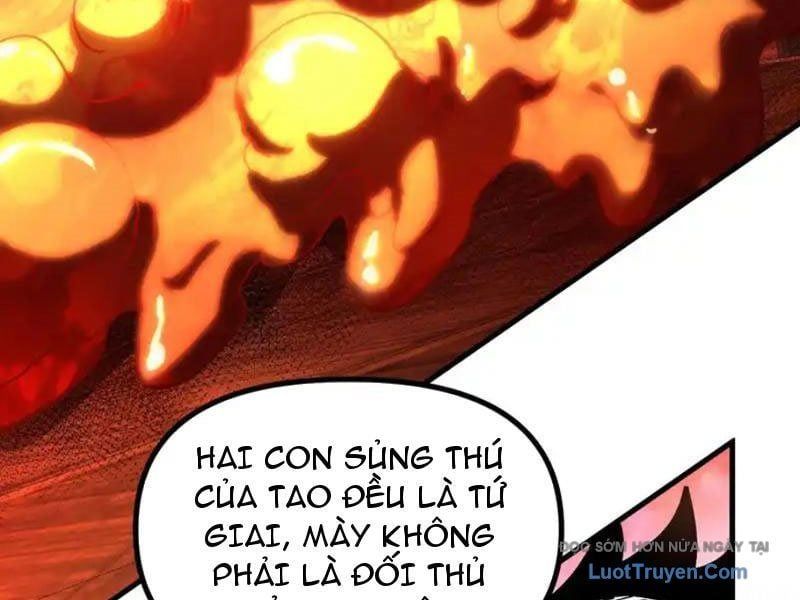 đọc truyện Toàn Cầu Ngự Thú: Ta Có Thể Thấy Lộ Tuyến Tiến Hoá Chương 45 ảnh 47 tại Thiên Thai Truyện