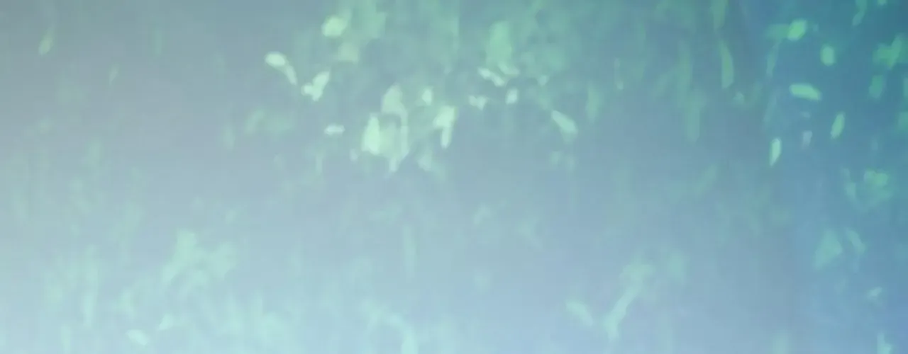 đọc truyện Toàn Dân Chuyển Chức : Duy Ta Vô Chức Tán Nhân Chương 191 ảnh 18 tại Thiên Thai Truyện