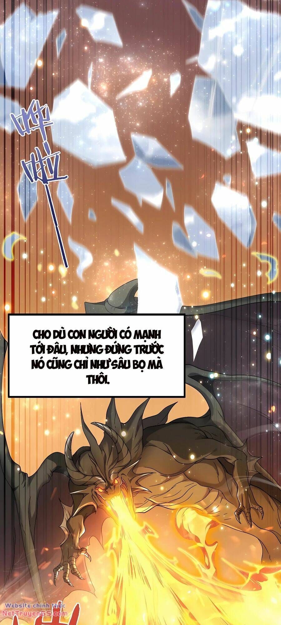 đọc truyện Toàn Dân Chuyển Chức: Ngự Long Sư Là Chức Nghiệp Yếu Nhất? Chương 2 ảnh 16 tại Thiên Thai Truyện