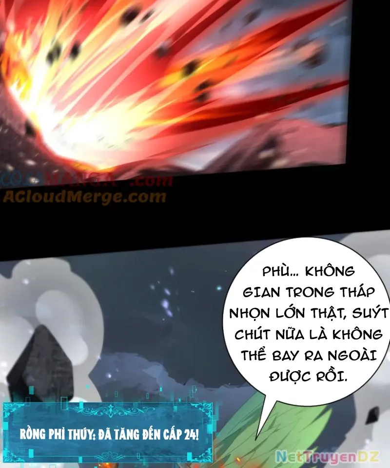 đọc truyện Toàn Dân Chuyển Chức: Ngự Long Sư Là Chức Nghiệp Yếu Nhất? Chương 78 ảnh 6 tại Thiên Thai Truyện